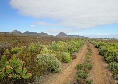 Cape Point Hiking Guide