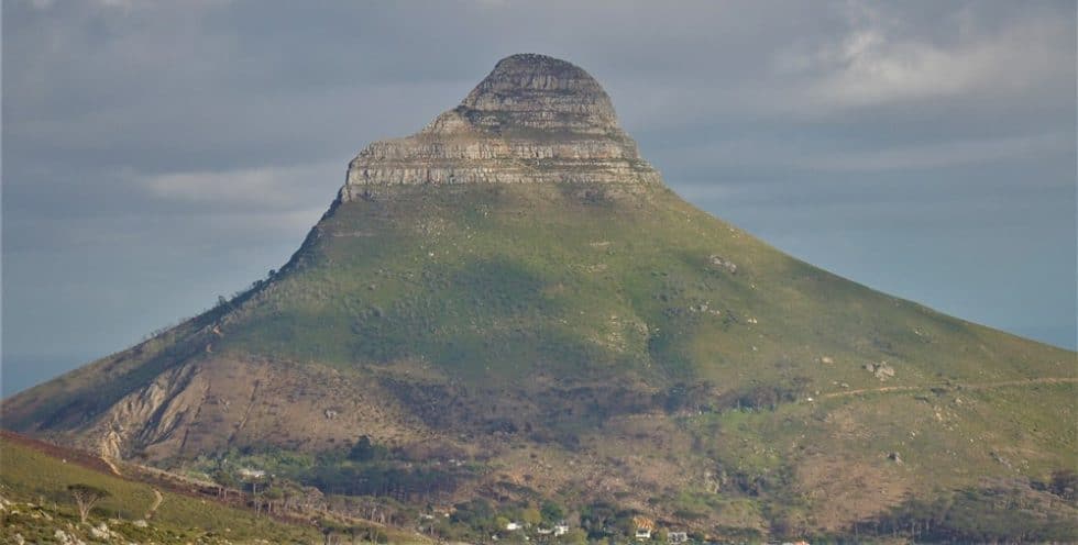 FYNBOS IDENTIFICATION FOR BEGINNERS: FOUR EASY STEPS - The Fynbos Guy